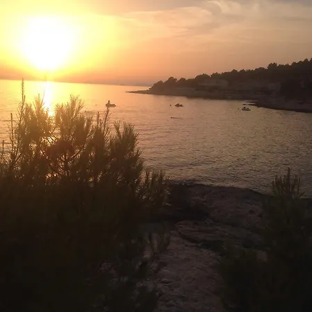 Lorenta